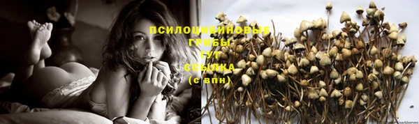 стаф Алексин