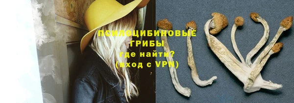 стаф Алексин