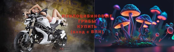 прущая мука Алзамай