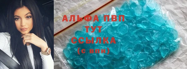 стаф Алексин
