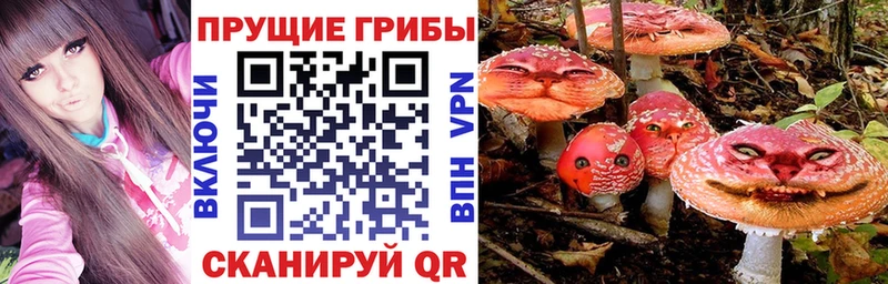 Галлюциногенные грибы мухоморы  это как зайти  Чадан 